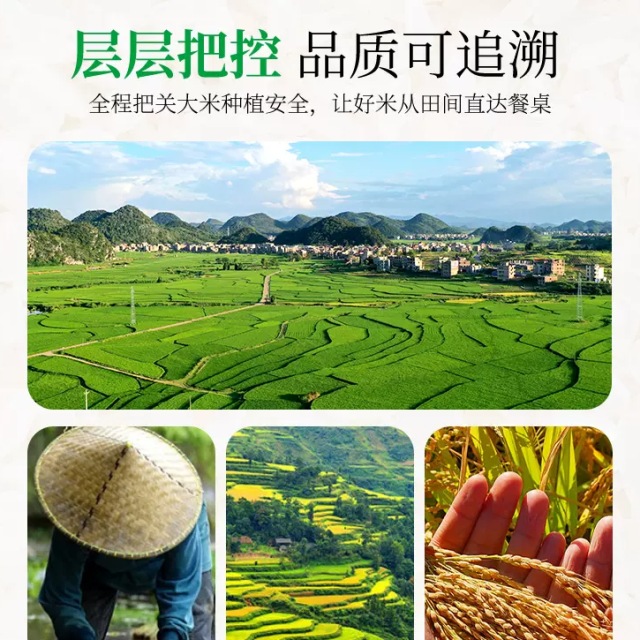 【南有新田】2023新上市 天然硒米长粒香大米 丝苗米真空包装